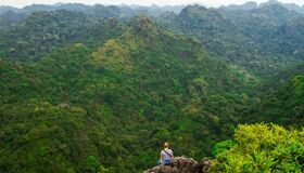 Freedom Solo Traveler on Cat Ba Island Peak